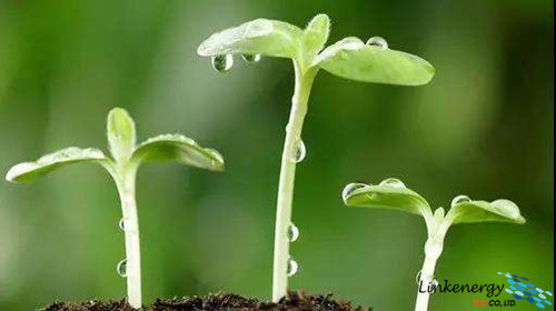 金相耗材推荐,金相耗材怎么选