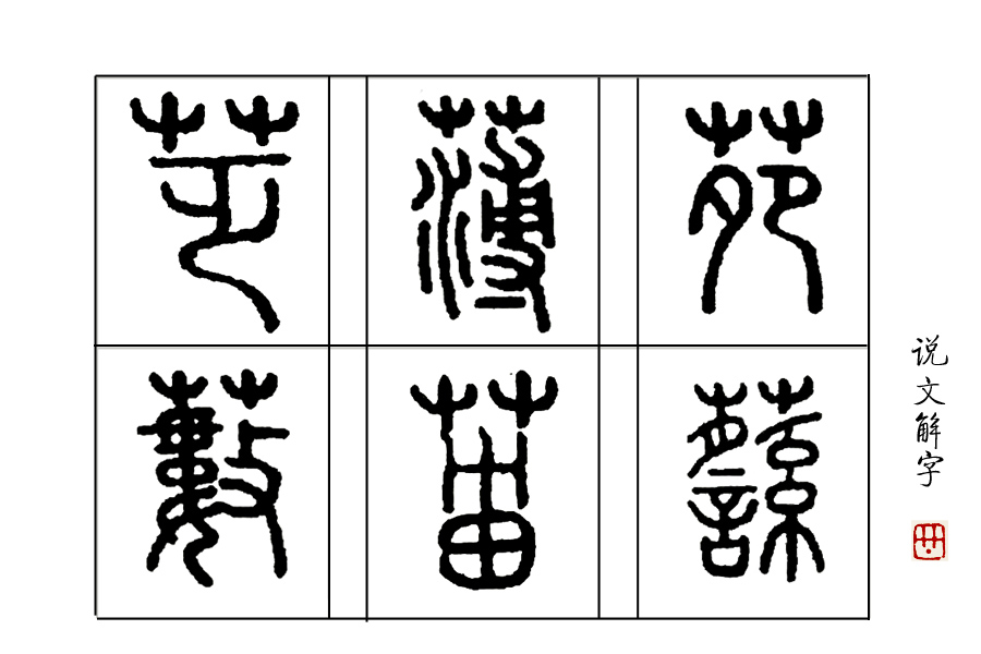 说文解字诗经考点,诗经说文解字108课