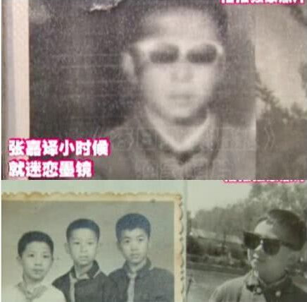 人生最坏不过大器晚成张嘉译,大器晚成张嘉译的七部电视剧