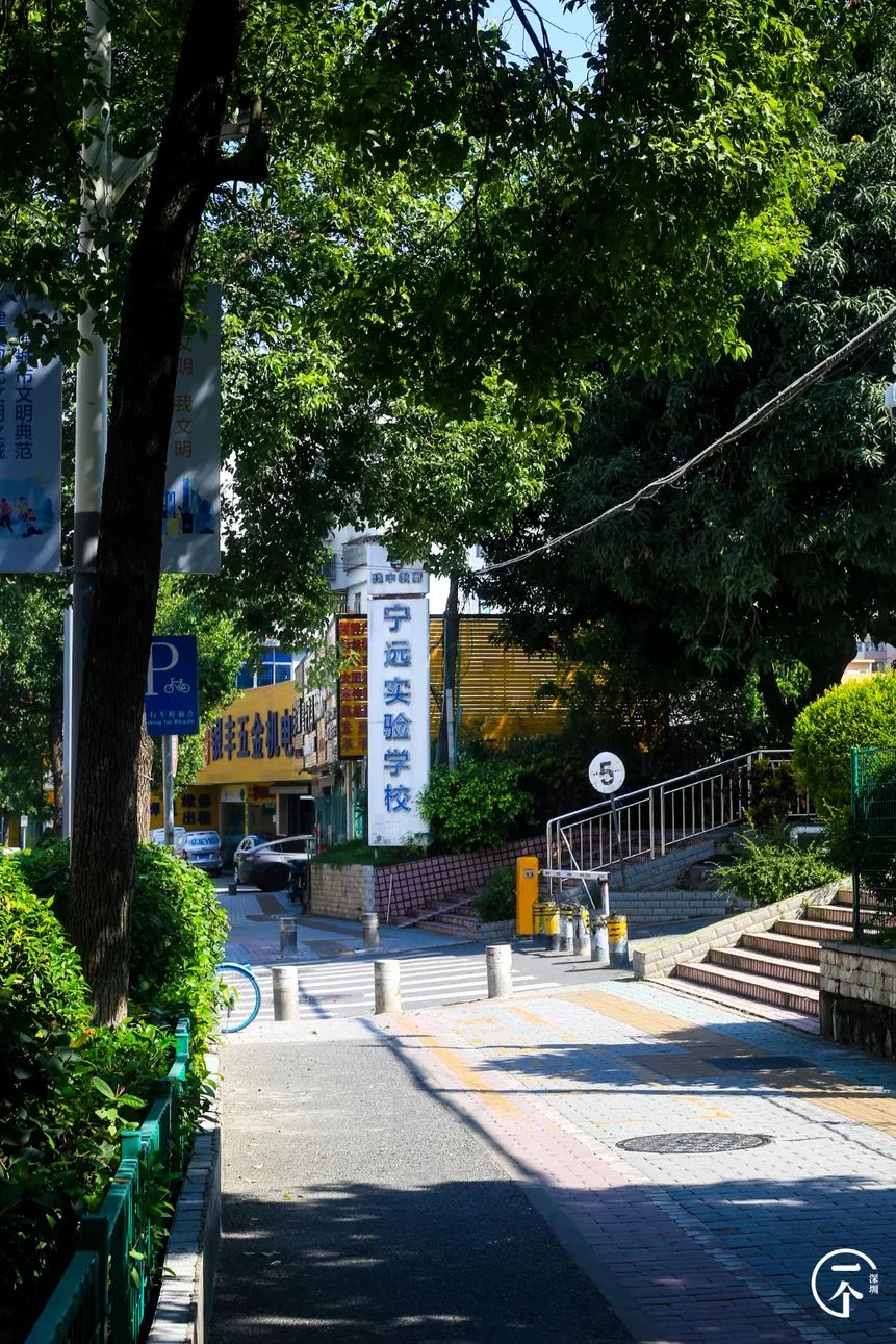 深圳“厂哥村”，女生可以百里挑一？