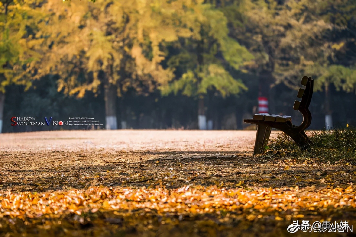 南京是什么味的,南京以什么口味为主