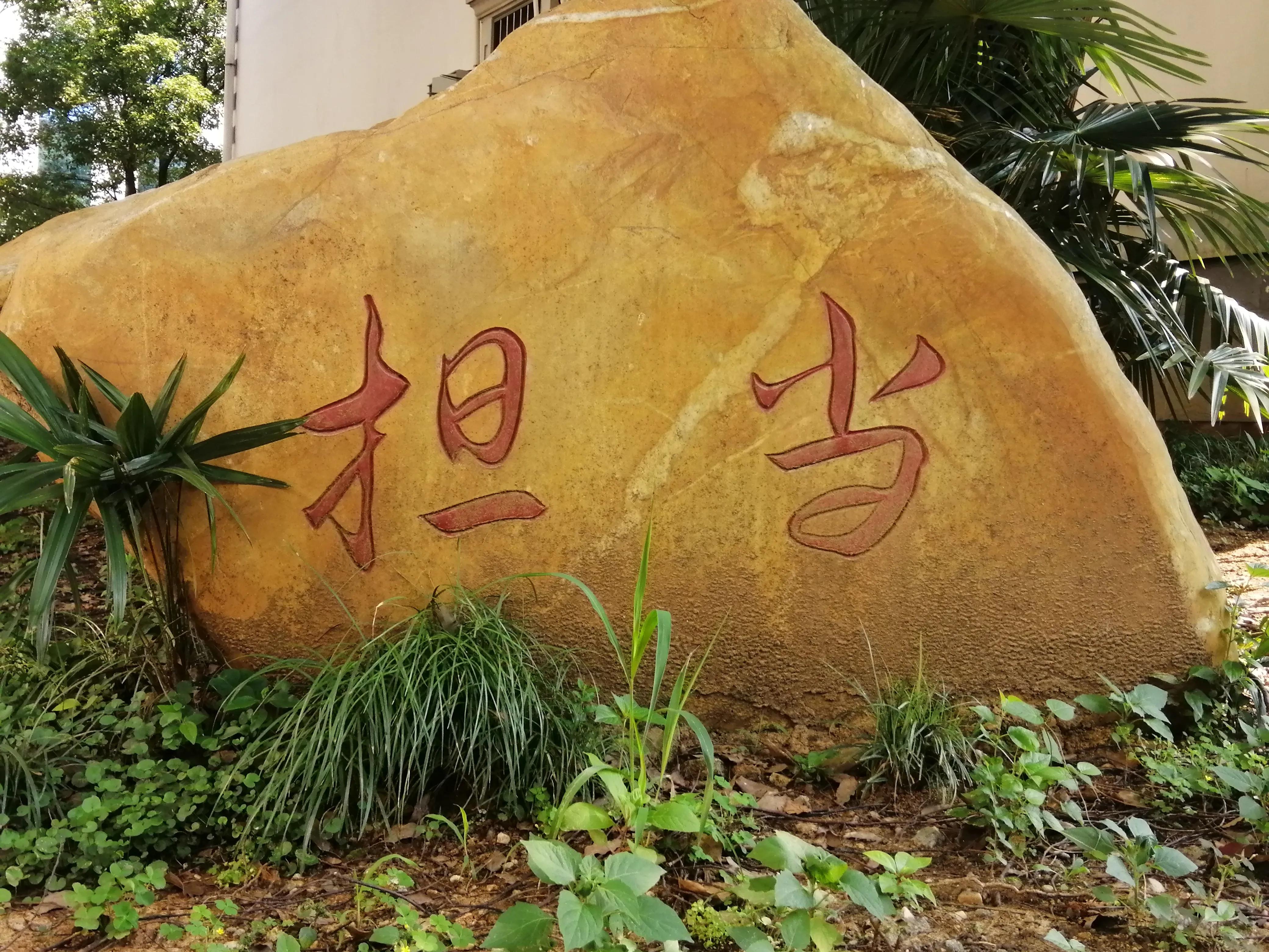 党校环境优美,市委党校崭新亮相