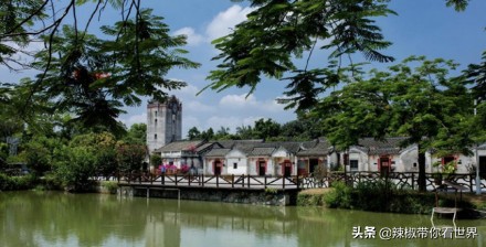 祖国大好河山深圳,深圳之无限风光