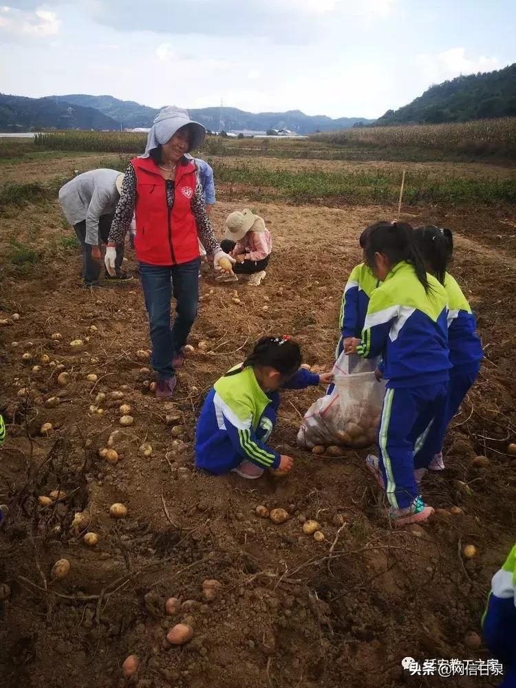 金太阳幼儿园校门,延安市甘泉谢金庄幼儿园