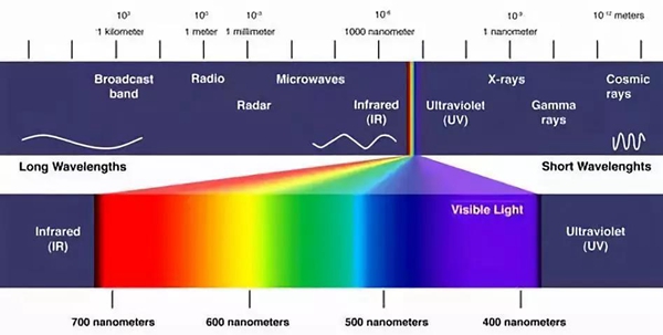 突破视觉极限！打一针就能看见红外线，中国科学家打造超能力鼠