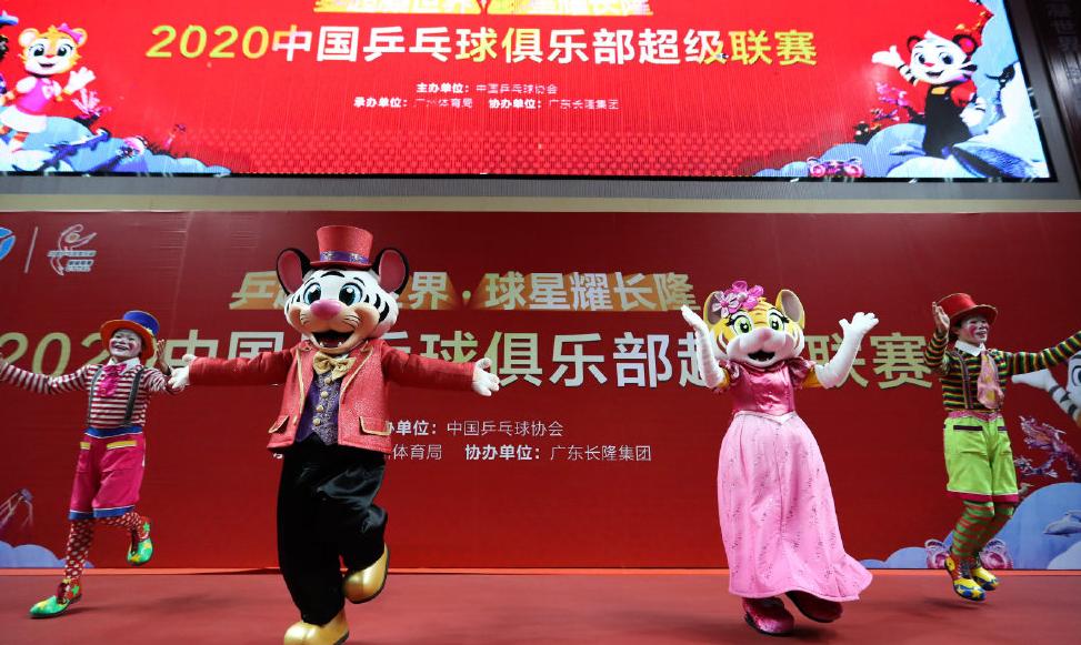 乒超丁宁输给哪些人,王曼昱丁宁2019乒超联赛完整