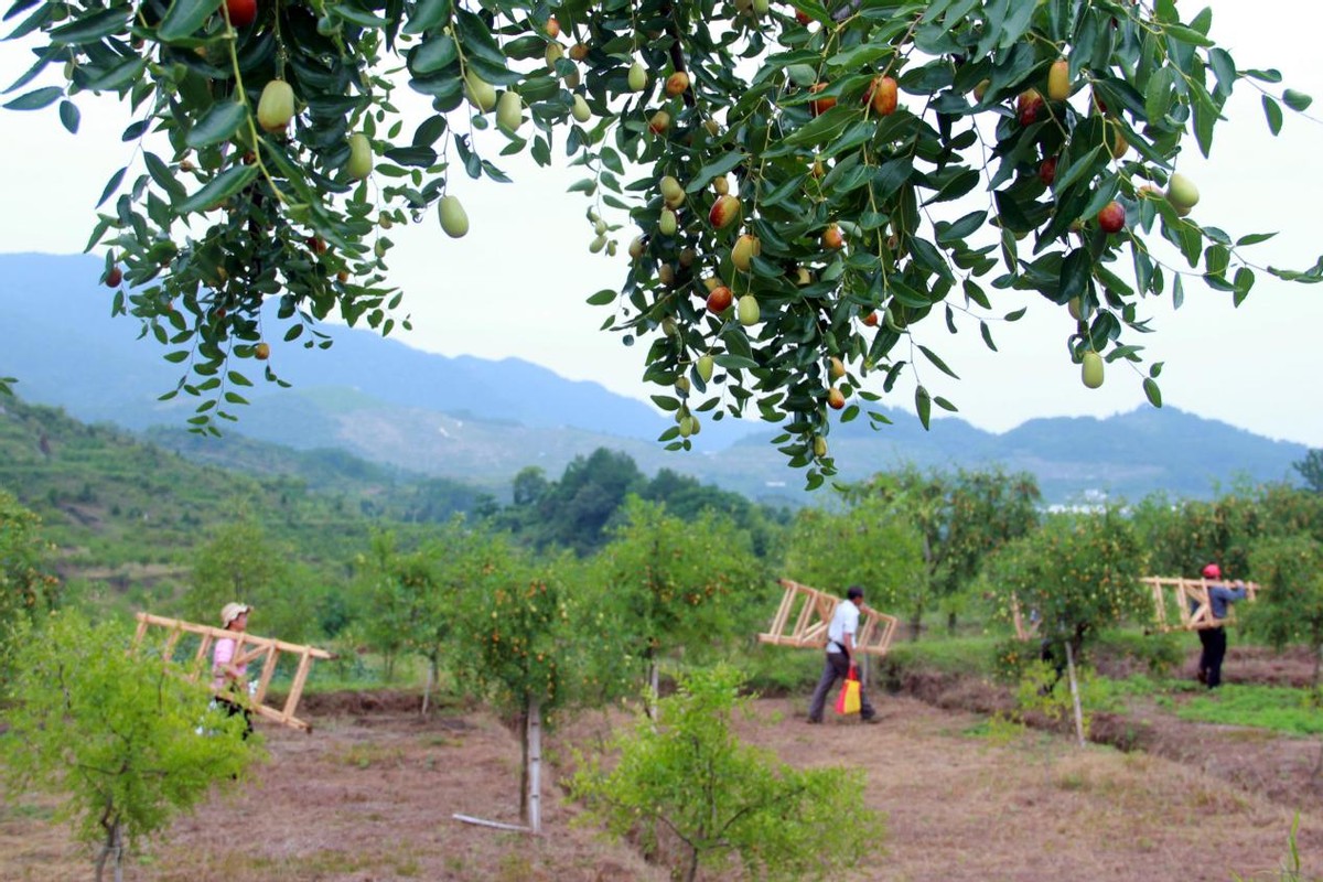 蒲公英4g工业级无线路由器r300,蒲公英r300a4g路由器网速测试