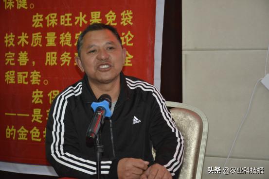 不套袋的苹果有市场吗,苹果不套袋是什么样子