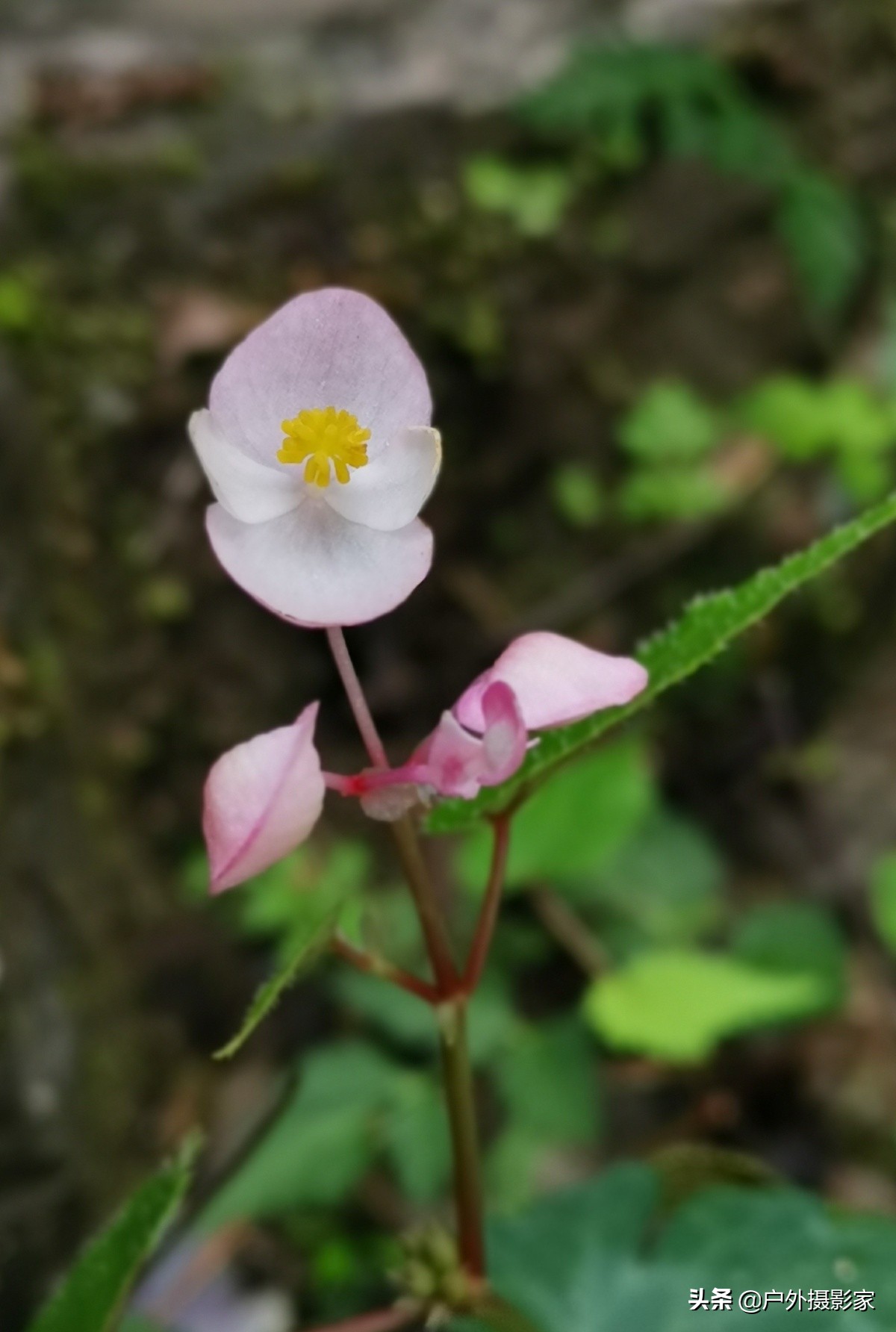 我的户外日记视频,我的户外日记旅游