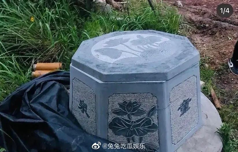 林生斌谈p图,网友曝林生斌p图