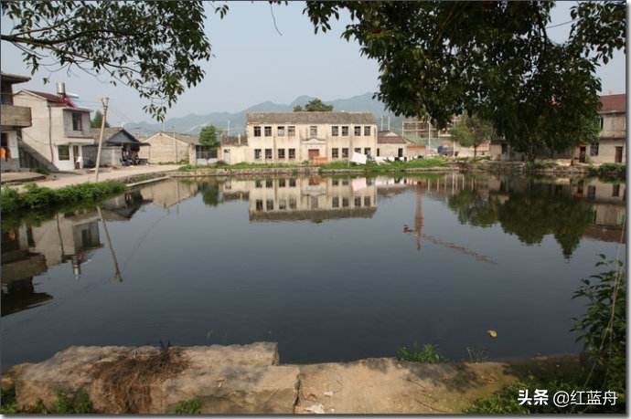 池小养不了大鱼（小说）