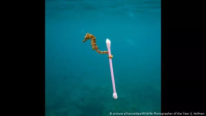 不进行垃圾分类地球会怎样 (我们可以怎样阻止垃圾分类)