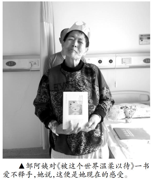 特别关注现场版完整版,特别关注栏目设置