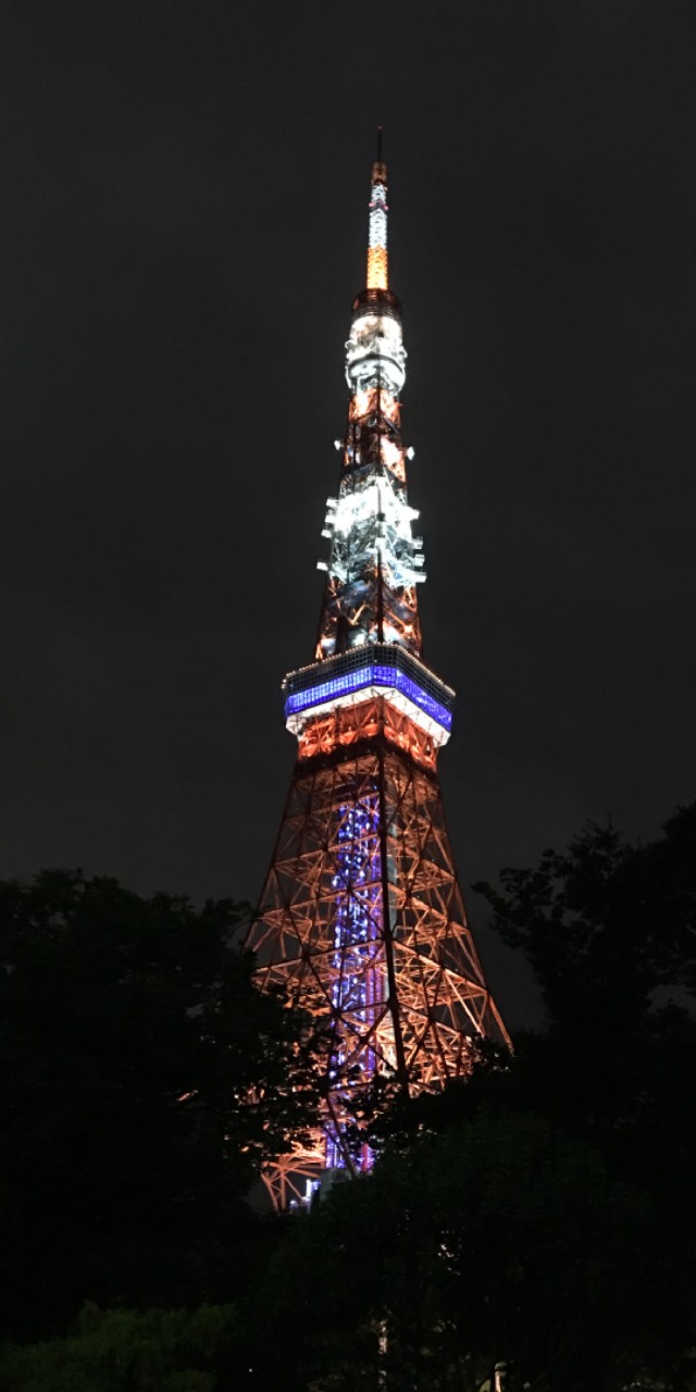 为什么不建议跟团游,为什么旅游不要跟团欧洲