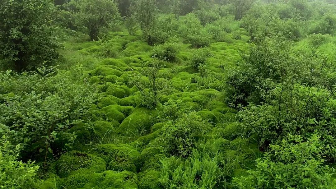 从世界地图看湖南,世界看湖南