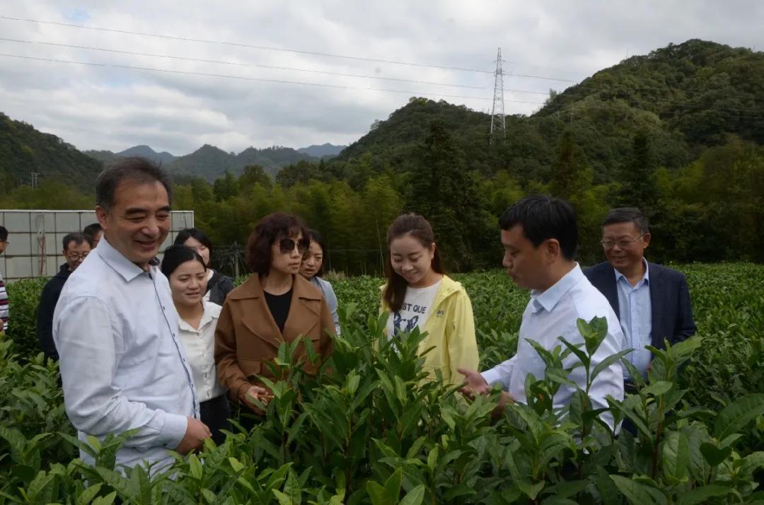 鐧捐儨涓浗瀹夊窘鍏徃,鐧捐儨涓浗瀹夊窘
