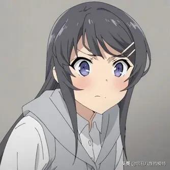 二次元的你，知道这些梗么