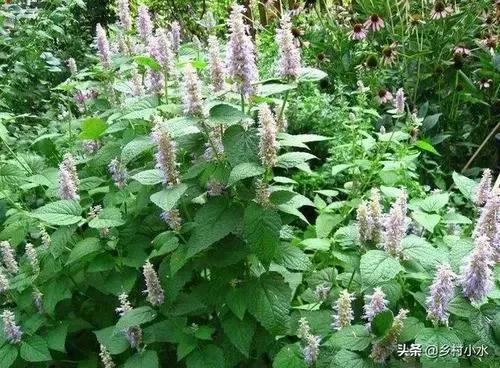 中医治疗发热最快方法,发热该怎么治