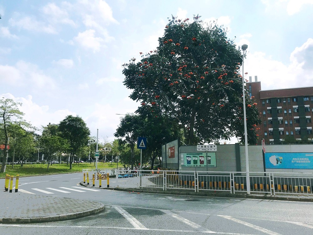 深圳湾第一幼儿园设计视频,深圳湾第一幼儿园效果图