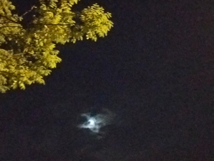 花笺记——我和花朵等来的不是你，却是七月最后一场雨