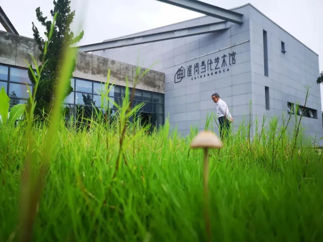 合肥周末去哪玩比较好,合肥假期带孩子玩的地方