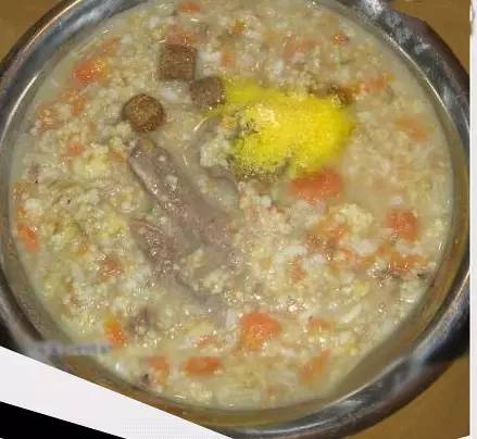 狗狗饮食禁忌不能吃的食物,怀孕狗狗吃什么食物好