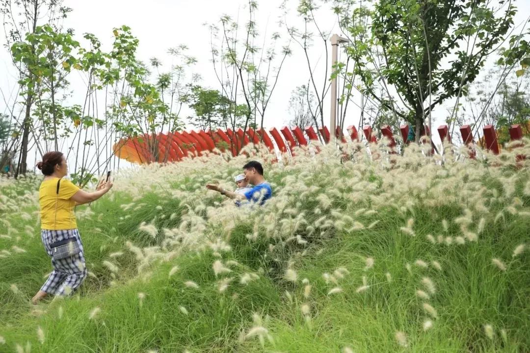 成都最有潜力的花园,成都是个大花园