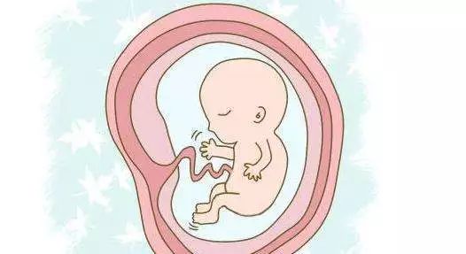 孕27周频繁做阴超会不会影响胎儿,孕初期阴超对胎儿有影响吗