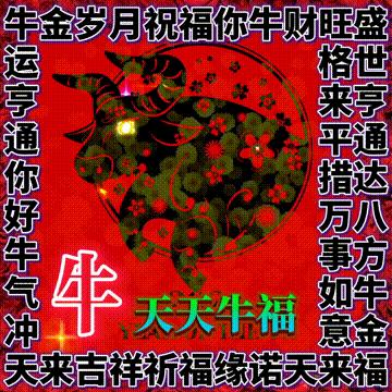 年味文化大餐！最新网络世界符号工具表情包【百家姓】专辑！