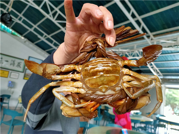 上川岛旅游自由行两天一夜攻略,上川岛旅游哪个季节去比较好