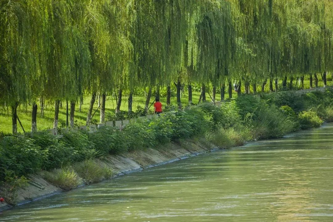 成华头条杉板桥,成华头条正能量