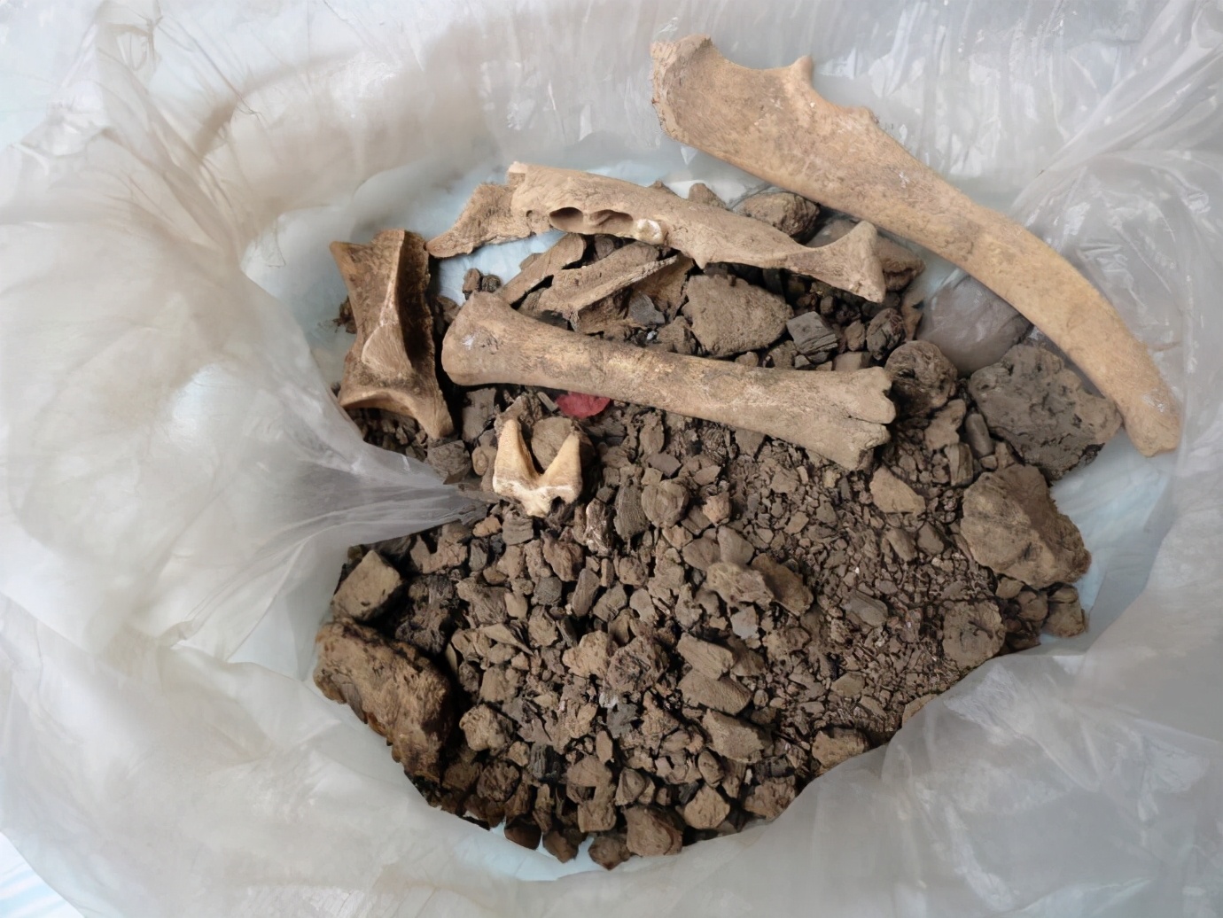 王屋山天坛黄帝祭天遗址图片,济源王屋山黄帝祭天几点开始