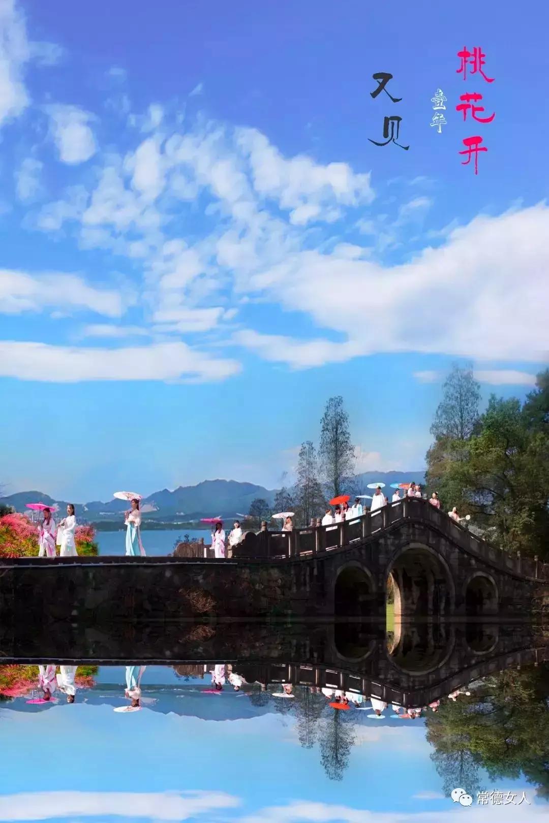 桃花源又见桃花开,盛景等君来,你若不来、花为谁开?