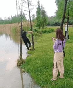 搞笑gif第八期,搞笑gif第三弹