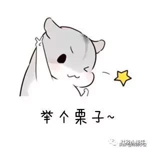 飞机票抵扣增值税会计分录,个人购买汽车票能不能抵扣增值税