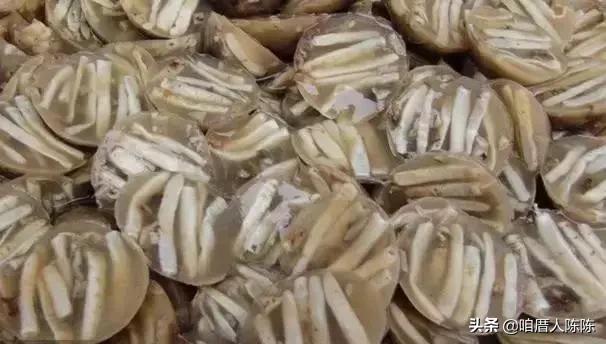 泉州十大必吃特色老字号,泉州特色小吃排名打包