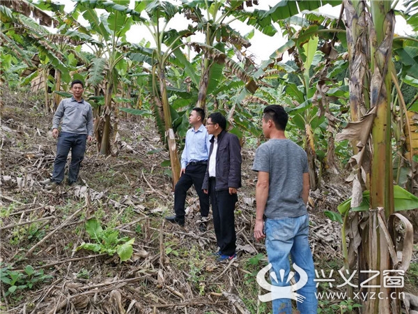 农行富民产业贷圆您脱贫致富梦,兴义农行惠农贷