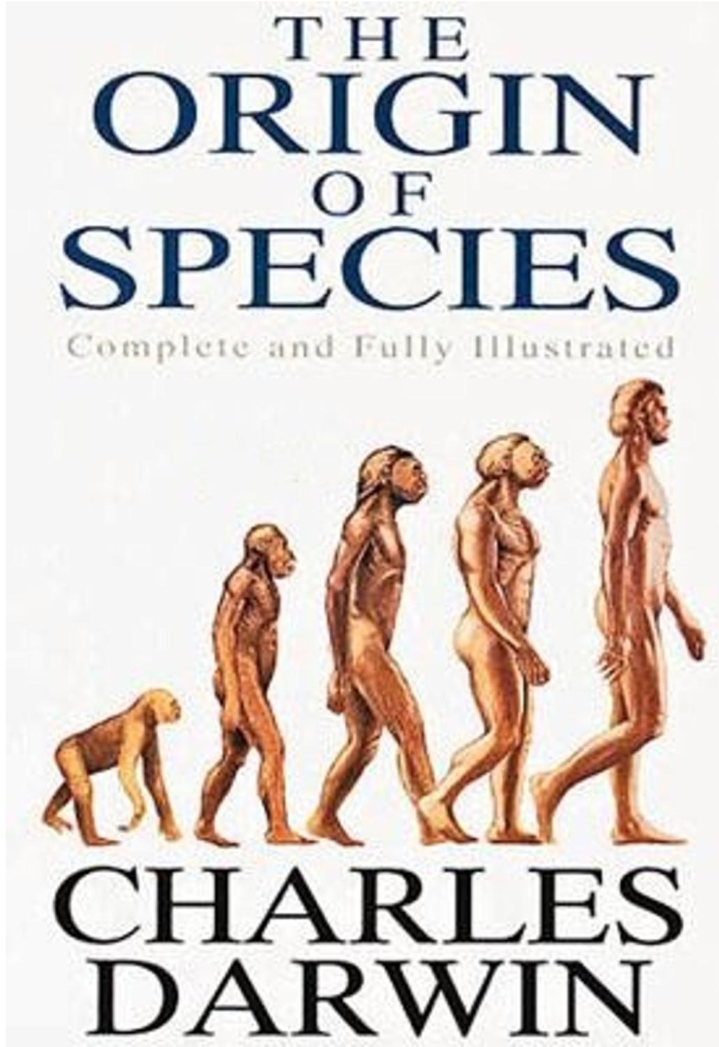 把人绕晕的复杂学科“复杂学”到底是什么？