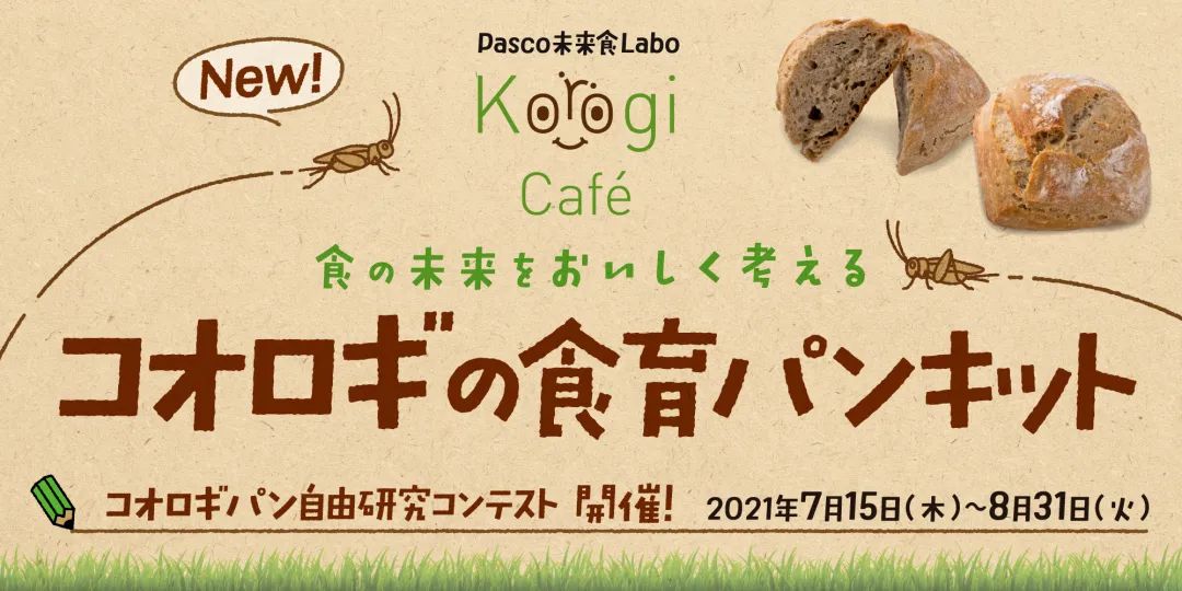 蟋蟀粉做面包,面包是不是用蟋蟀做的