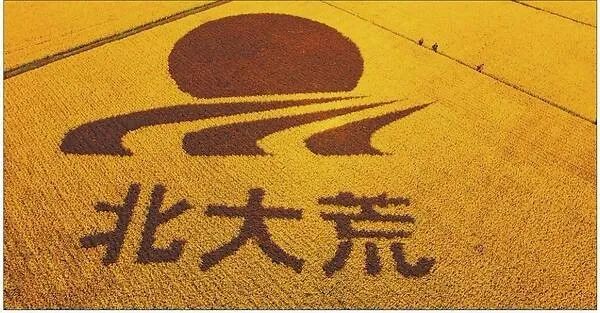 北大荒农业最新消息,北大荒农业最新新闻