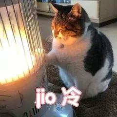 雪地靴怎么穿好看,雪地靴搭配技巧和方法