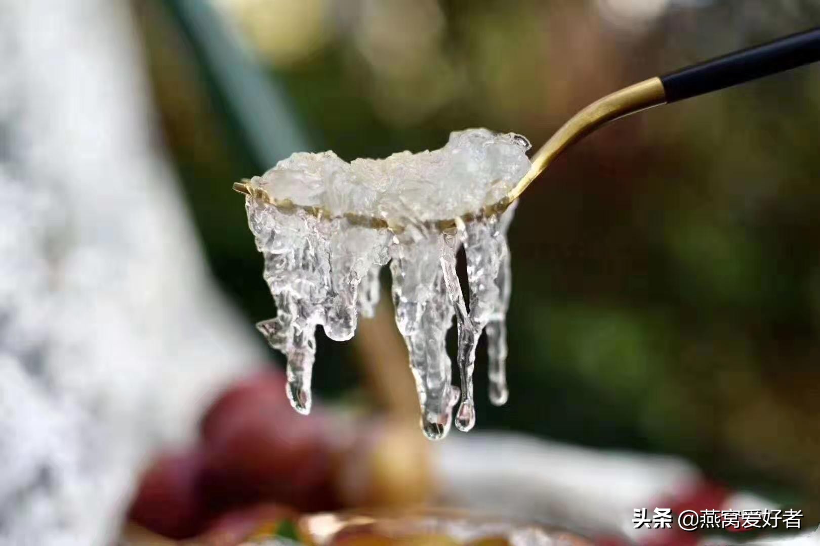 马来的燕窝好还是印尼的燕窝好,燕窝很贵么价格一般在多少呢