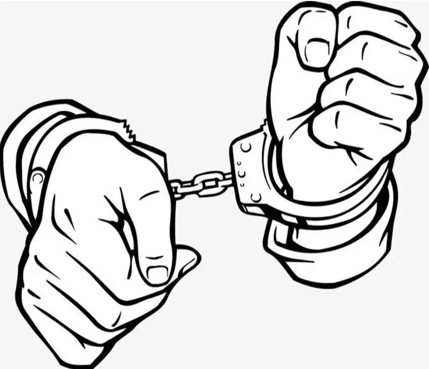 他带着冰葡萄创业梦想,没有走进现实,而是走进了...