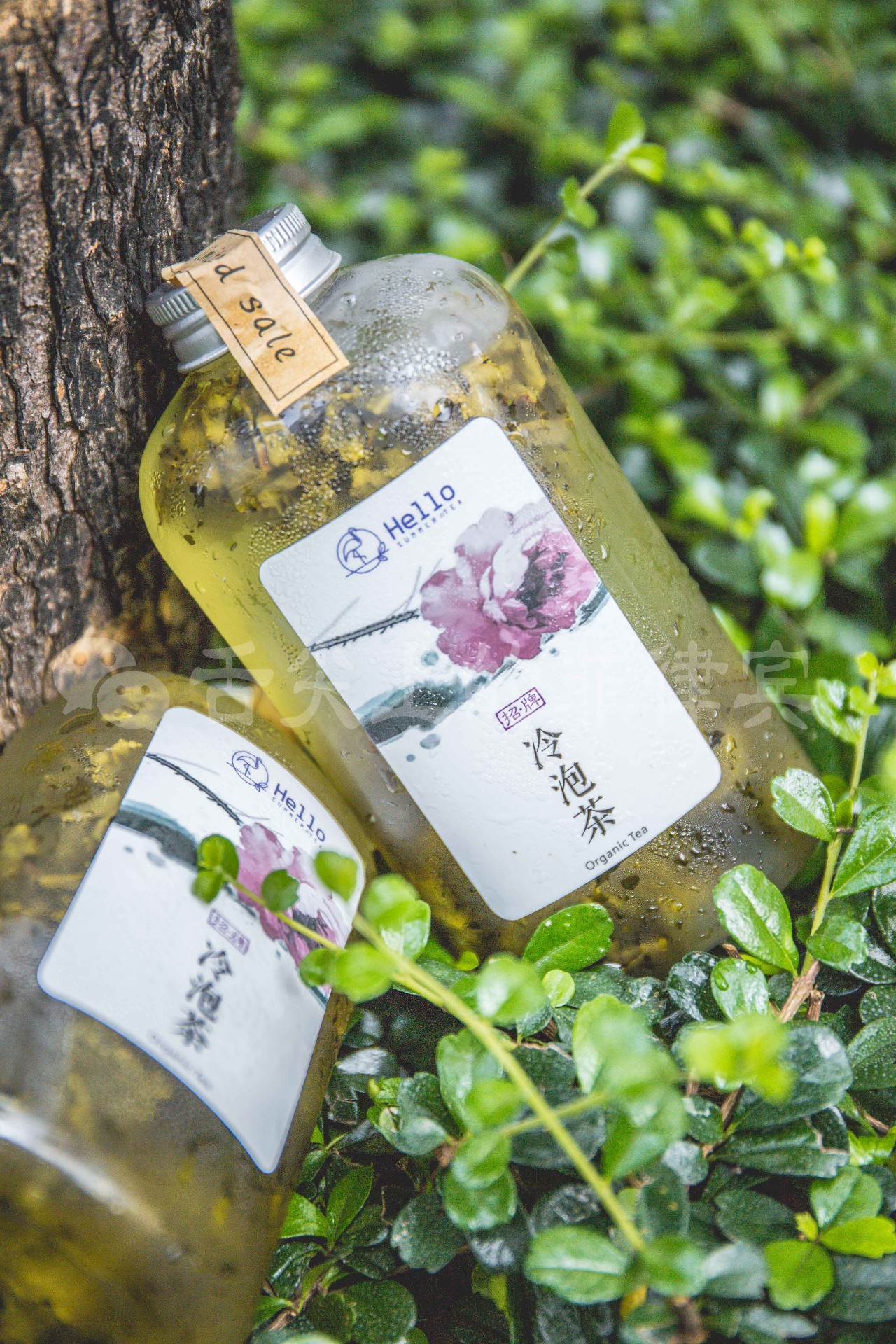 在国外开奶茶店的小姐姐,菲律宾网红开奶茶店