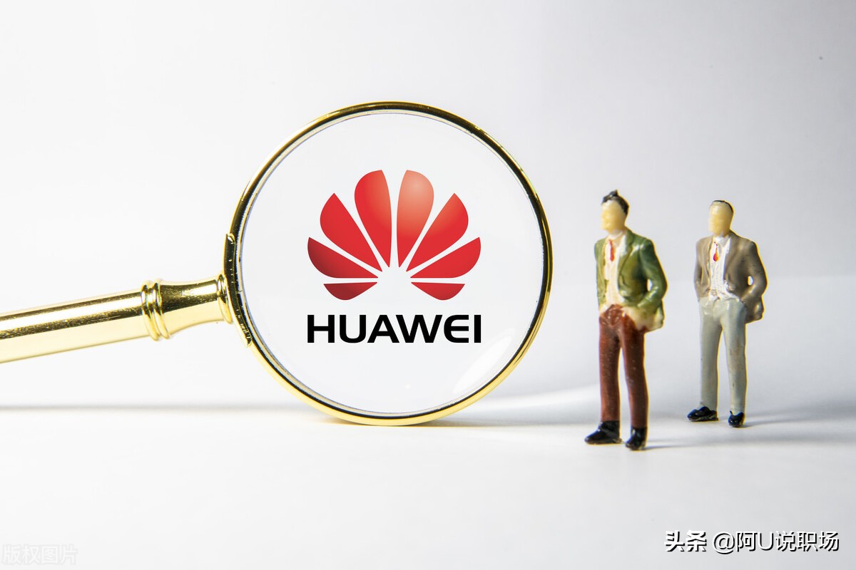 任正非的管理思想和华为经验,任正非洞察