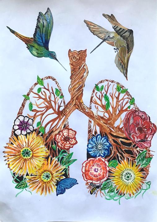 生命的故事绘本电子版,生命的故事图片