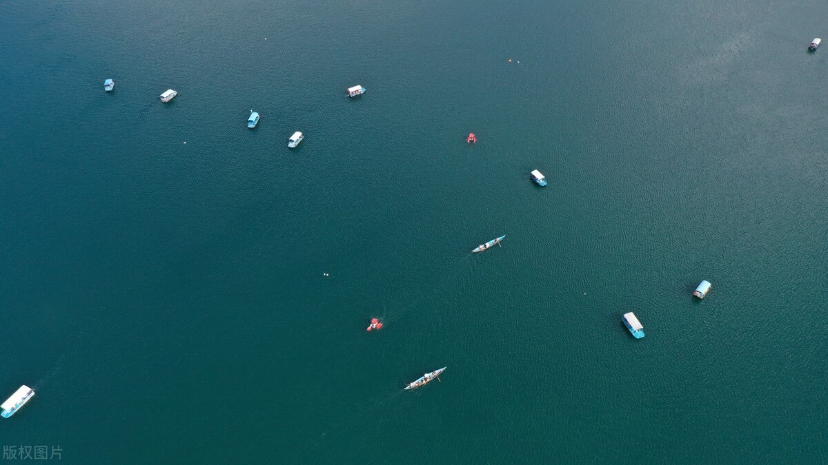 新岸线ai电话机器人,新岸线