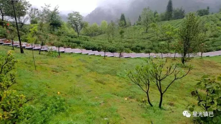 12岁辍学回农村种田,22岁小伙回陕西当农民