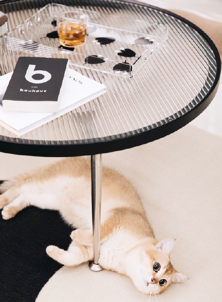 客厅隔断玻璃款式,客厅屏风隔断柜子加长虹玻璃