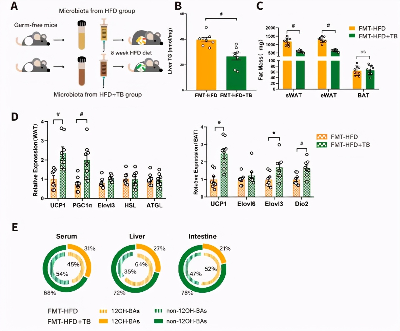 预防三高的中药粉,预防胆固醇和甘油三酯过高药物